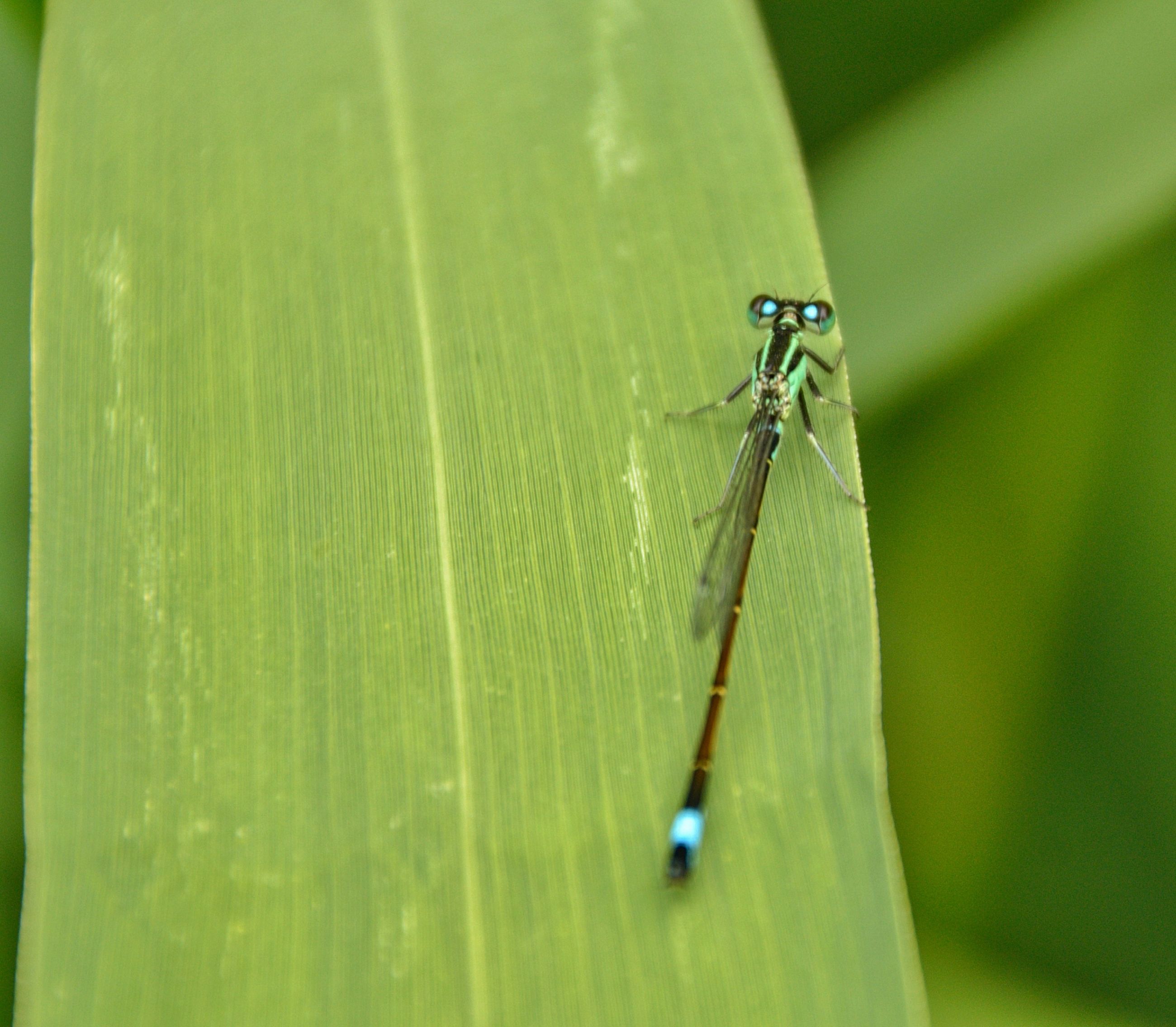 DSC_2301-01