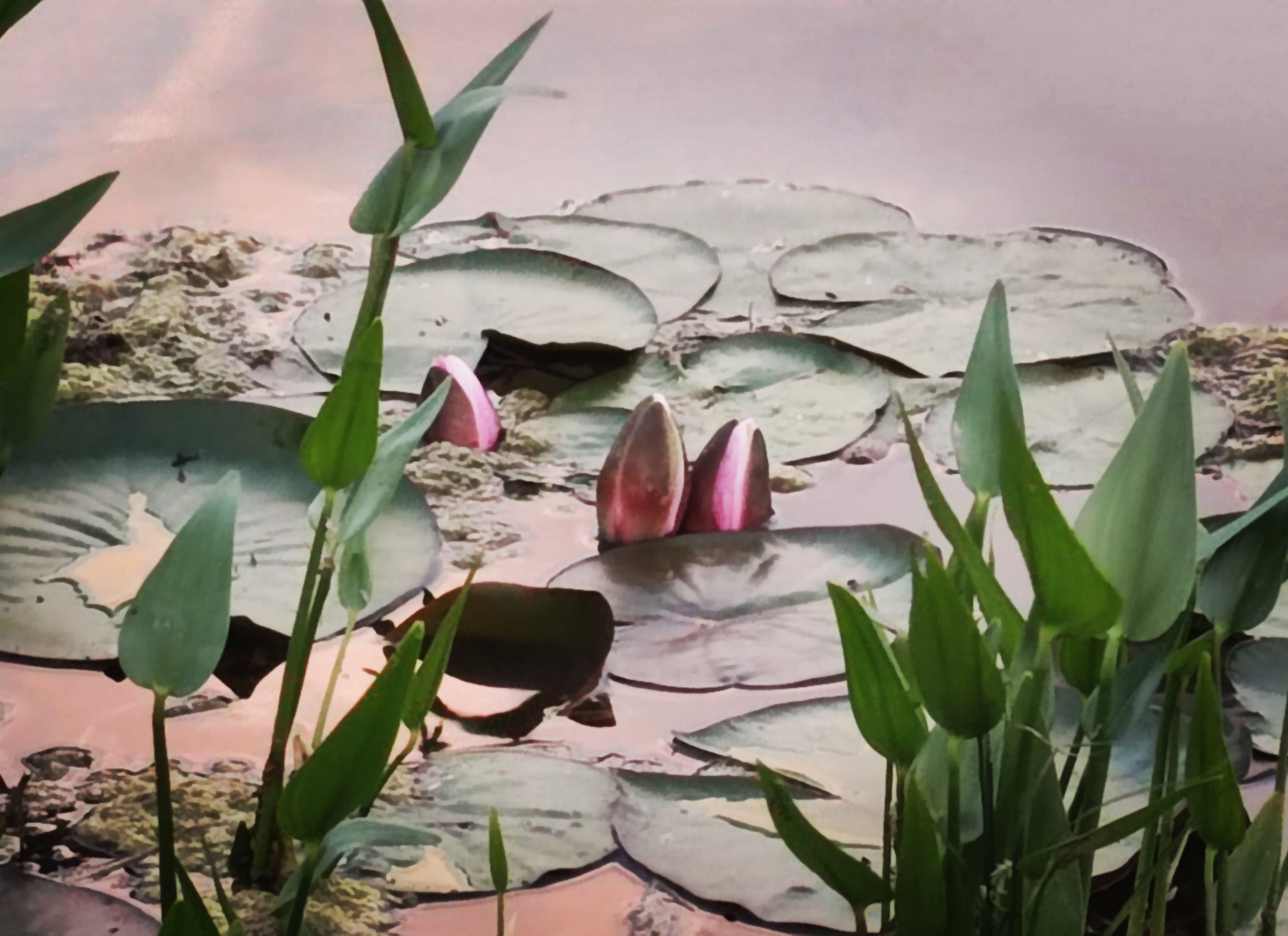 IMG_20220524_221314_410