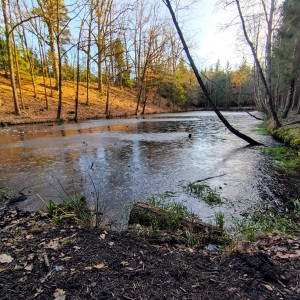 IMG_20201227_144910