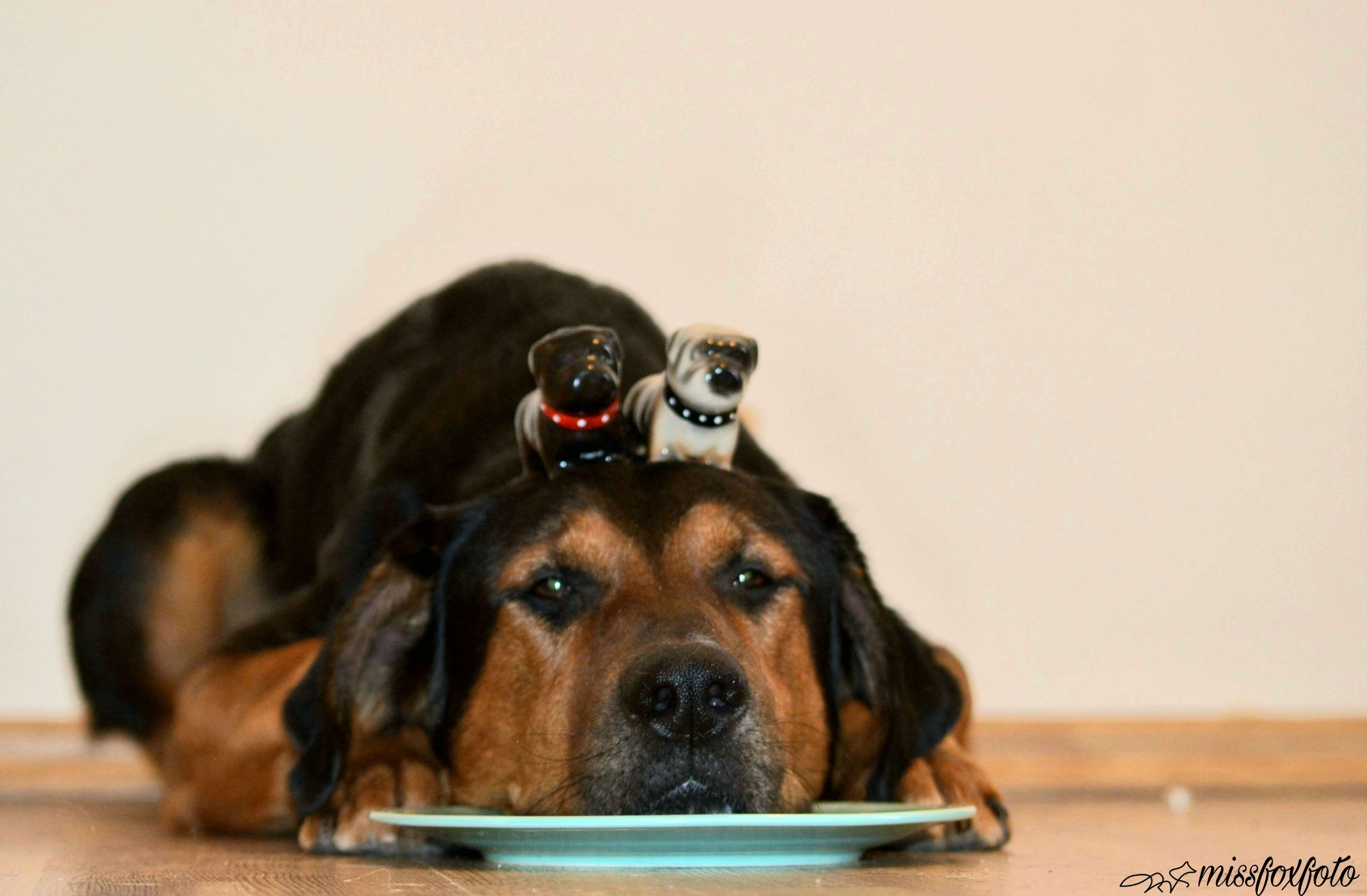 Picsart_22-07-09_20-25-08-250