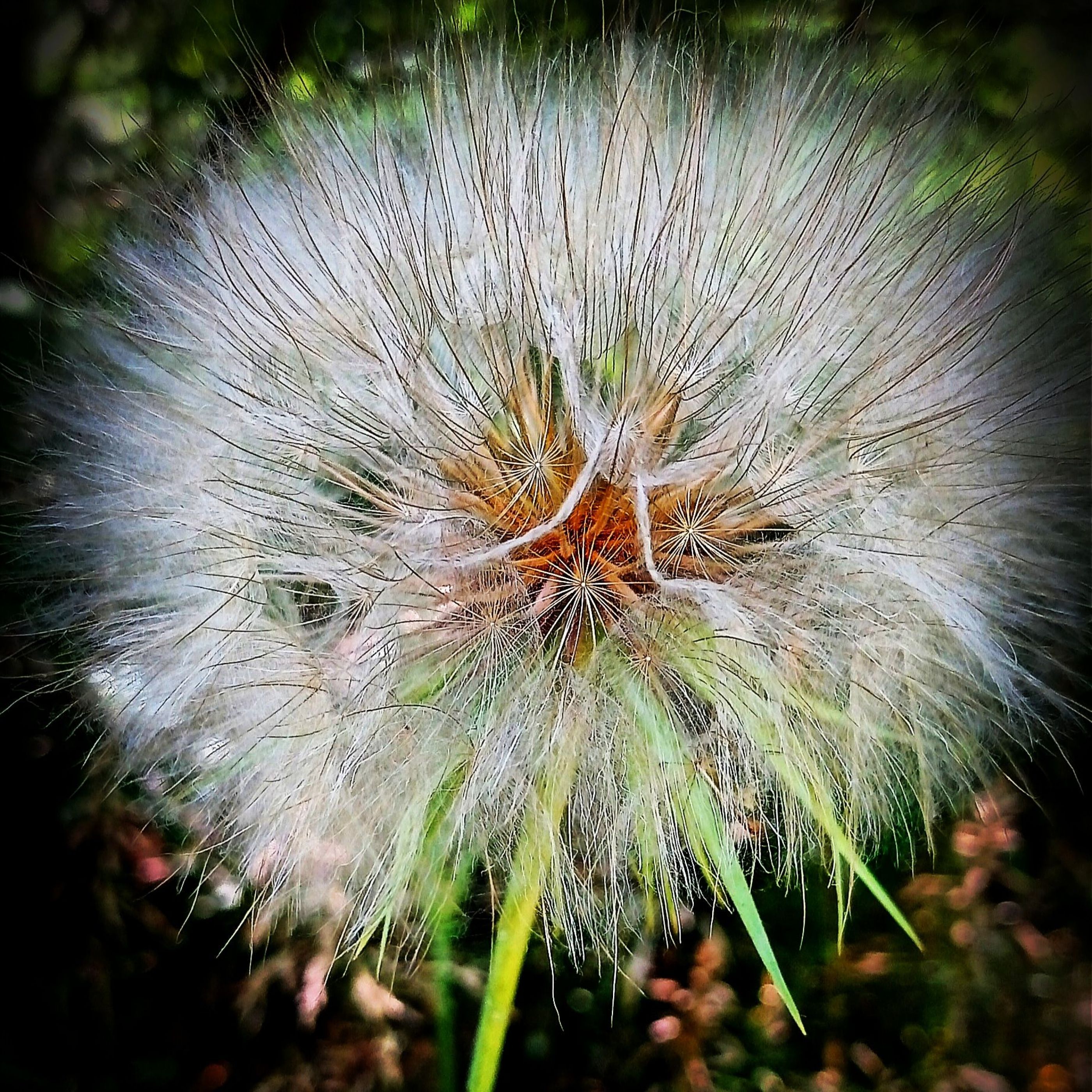 IMG_20230707_082824_315