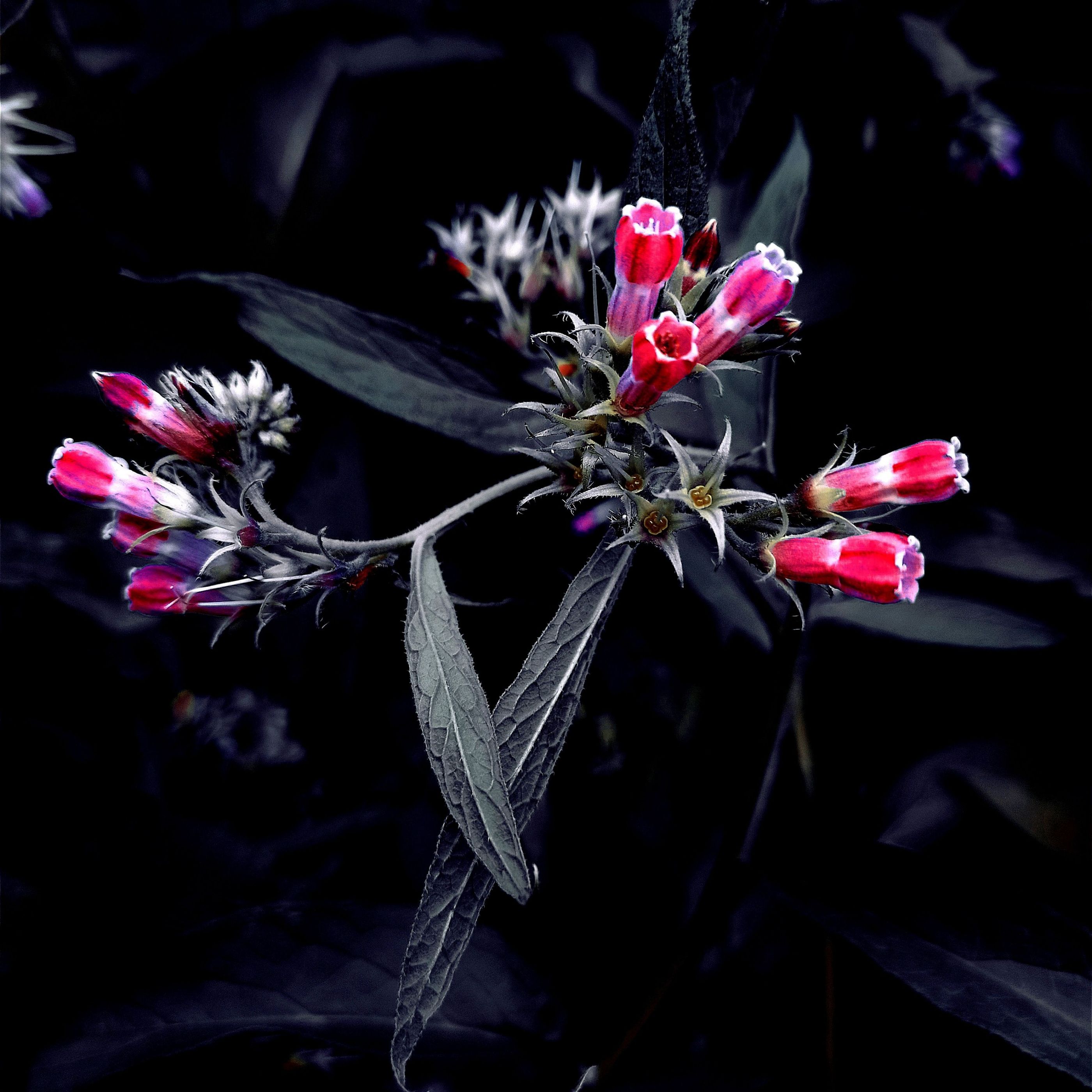 IMG_20230616_001756_789