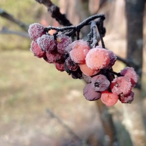 IMG_20250112_111828