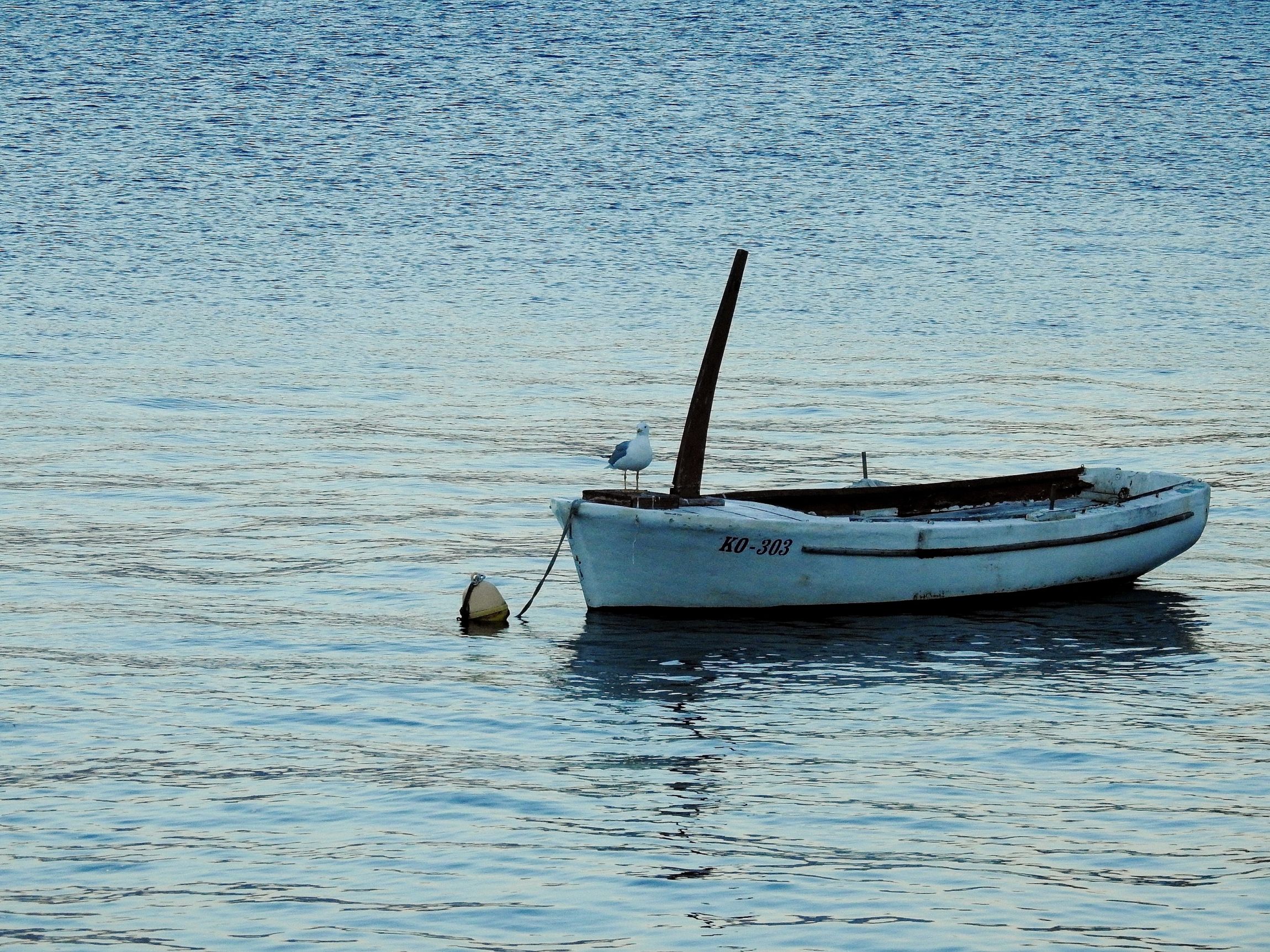 Korčula