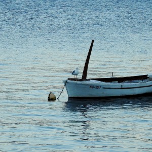 Korčula