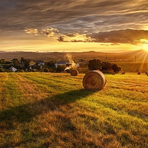 IMG_6446_HDR