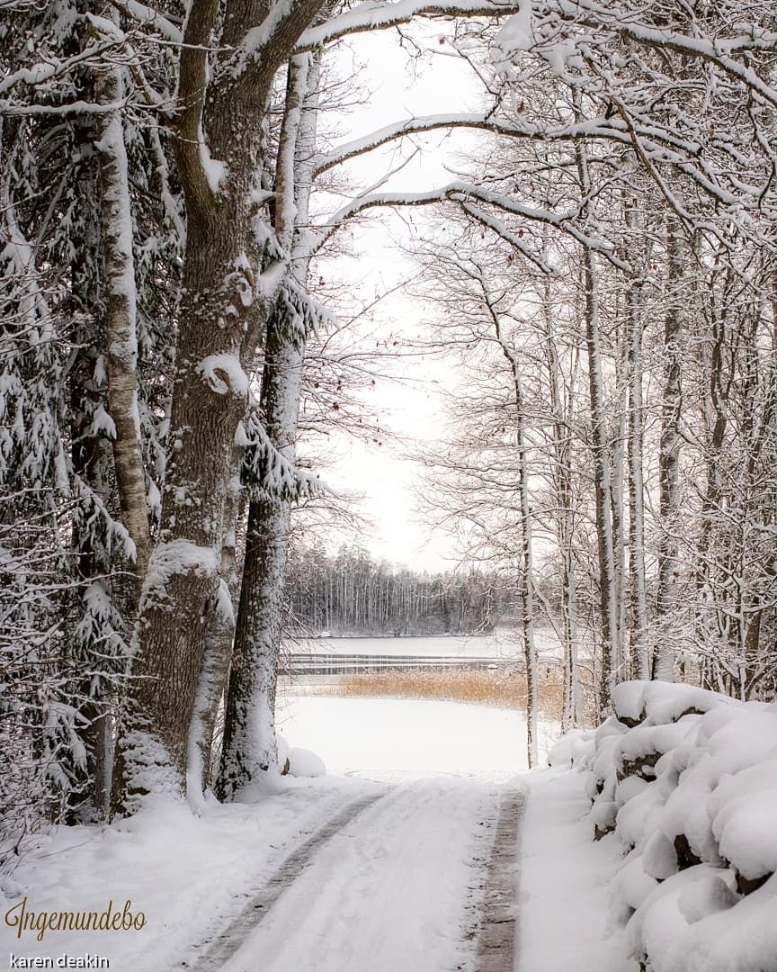 IMG_20221122_142230_266