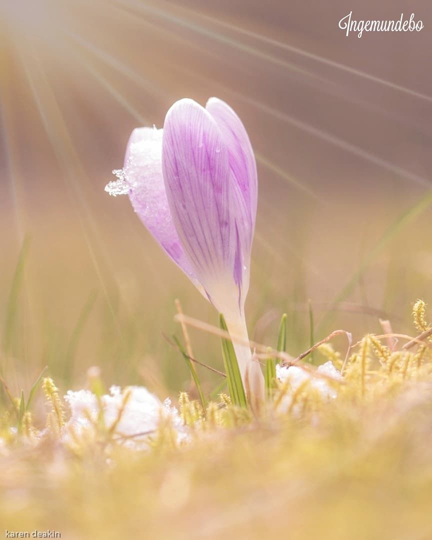 IMG_20230329_121807_537