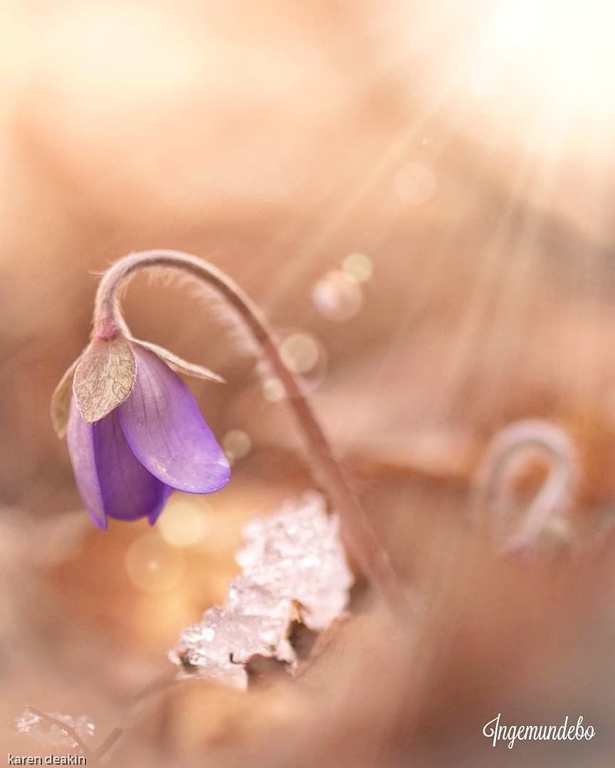 IMG_20230402_181336_373