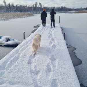 IMG_20221120_122903_307