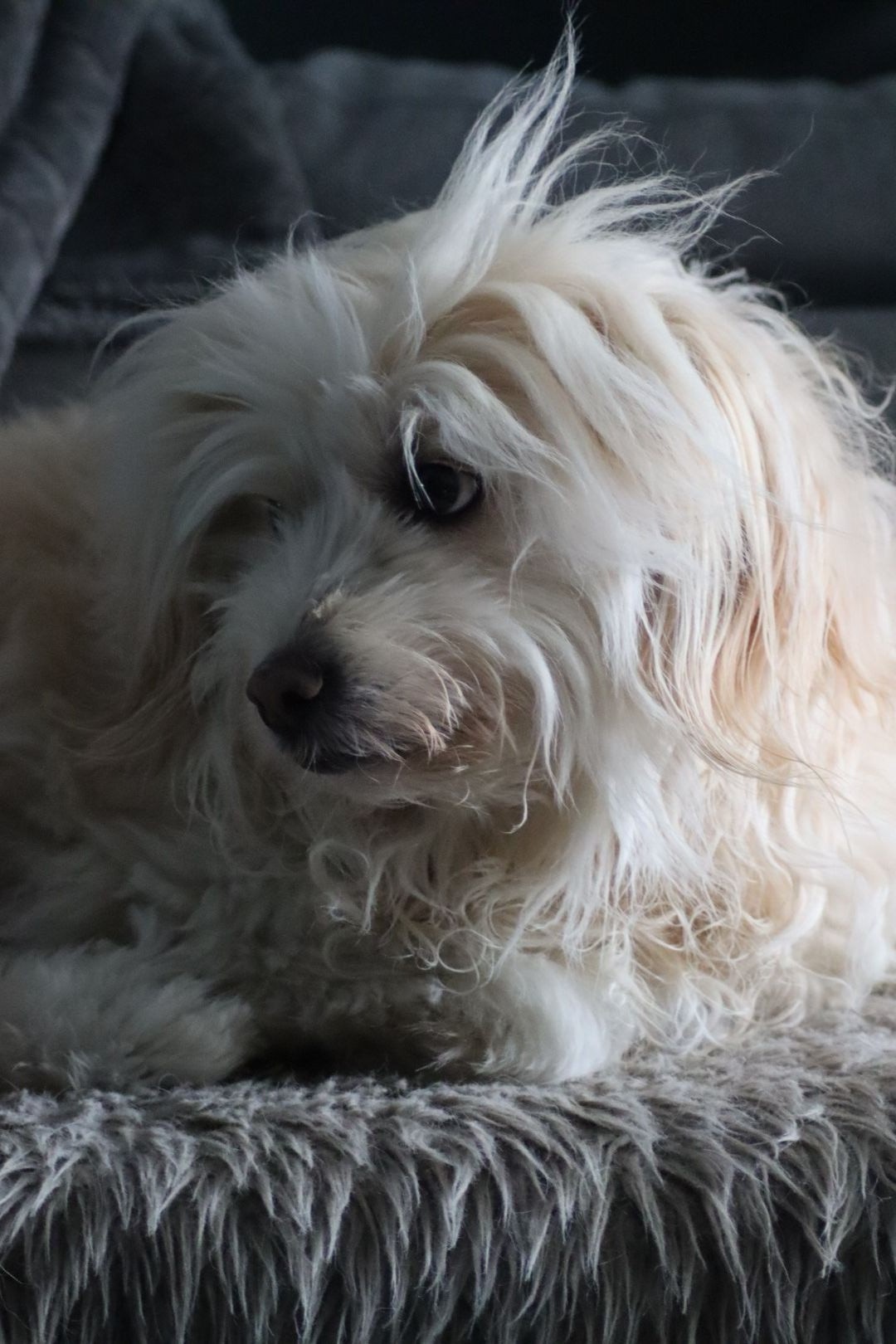 20220824101208_IMG_0130