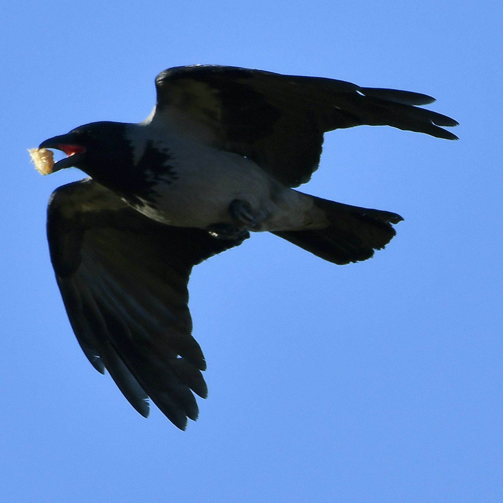 IMG_20211106_171449_250