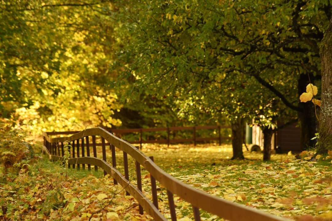 FB_IMG_1665941781361