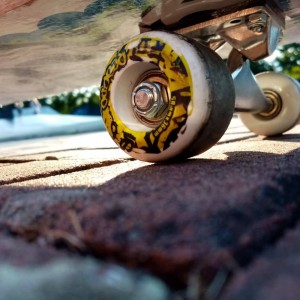 IMG-20210819-WA0032