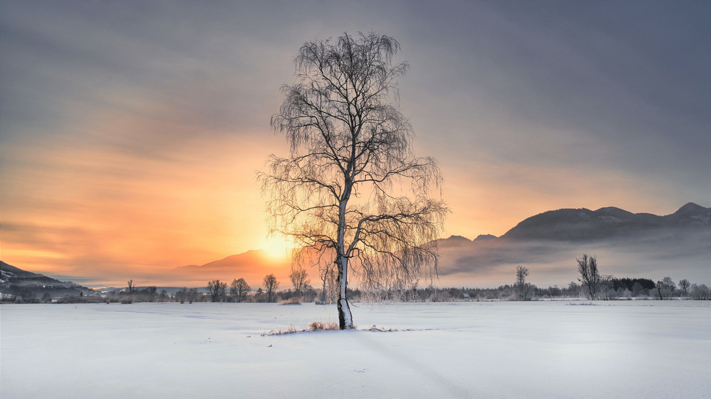 Winter im Tal