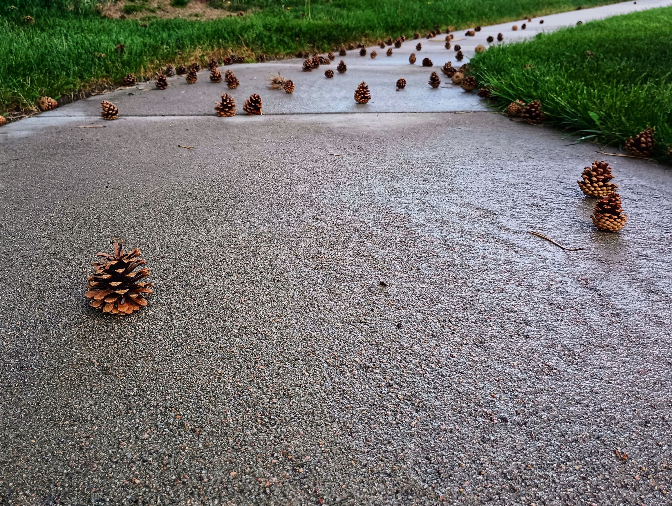 IMG_20230530_154510388-02