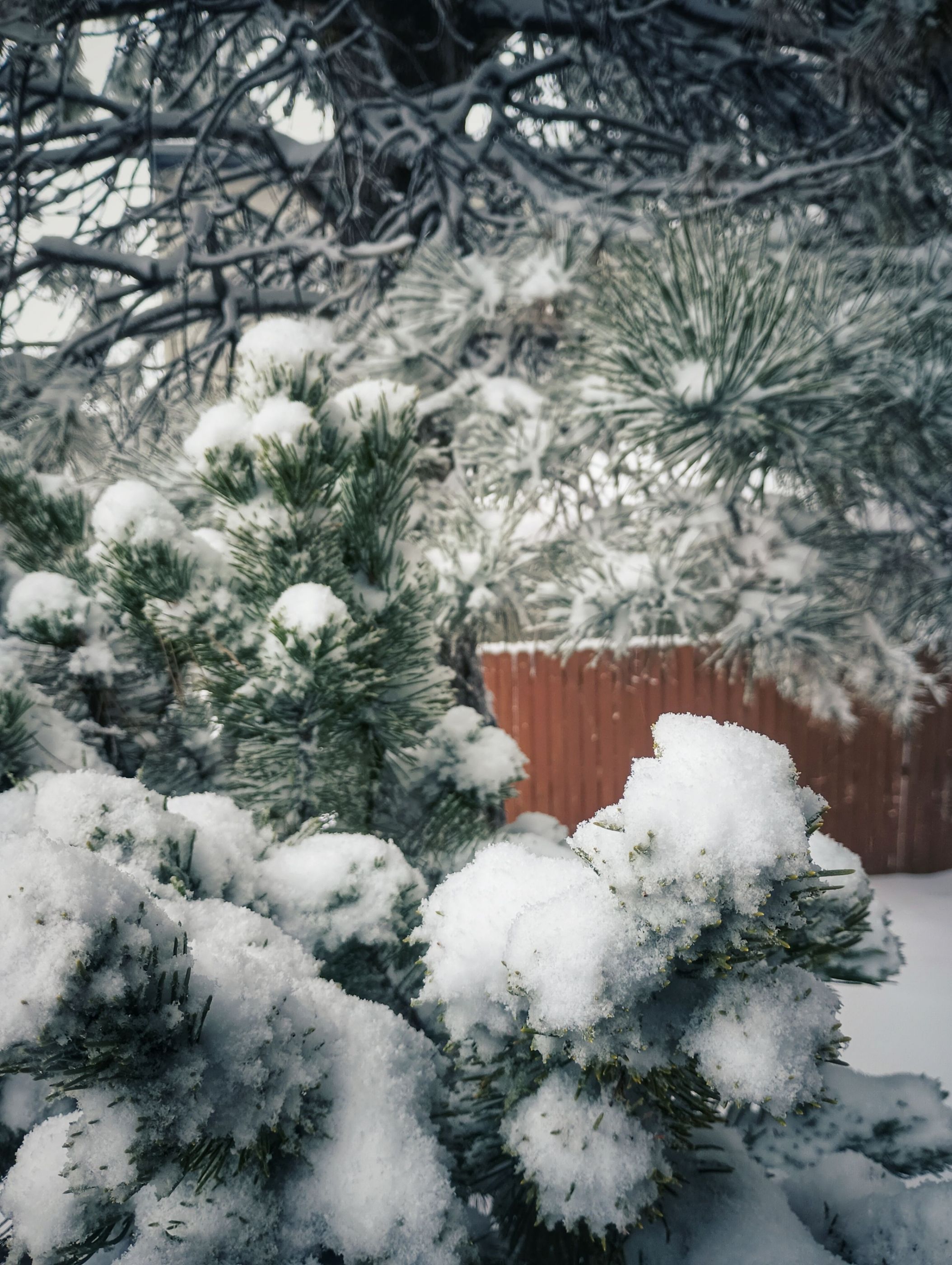 IMG_20240314_075727028-01