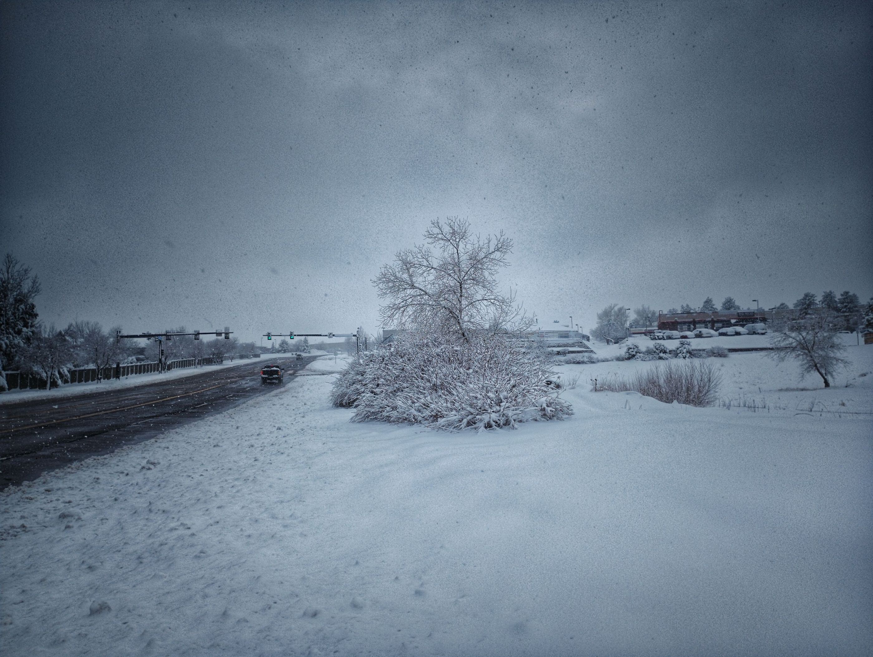 IMG_20240314_123746143-01