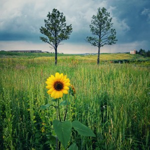 IMG_20230706_160413590-01