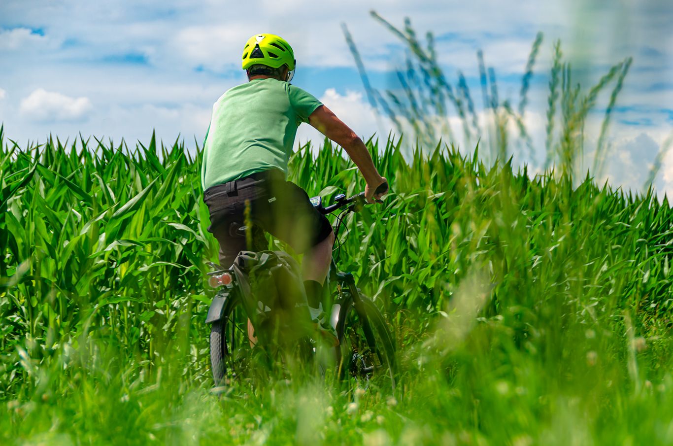 Grüne Felder, weiter Horizont, der Duft von Sommer liegt in der Luft