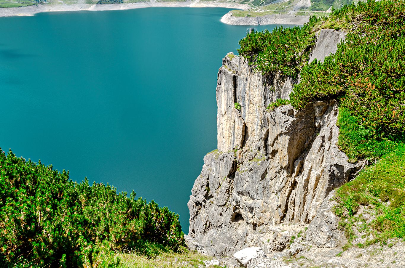 lünerseea