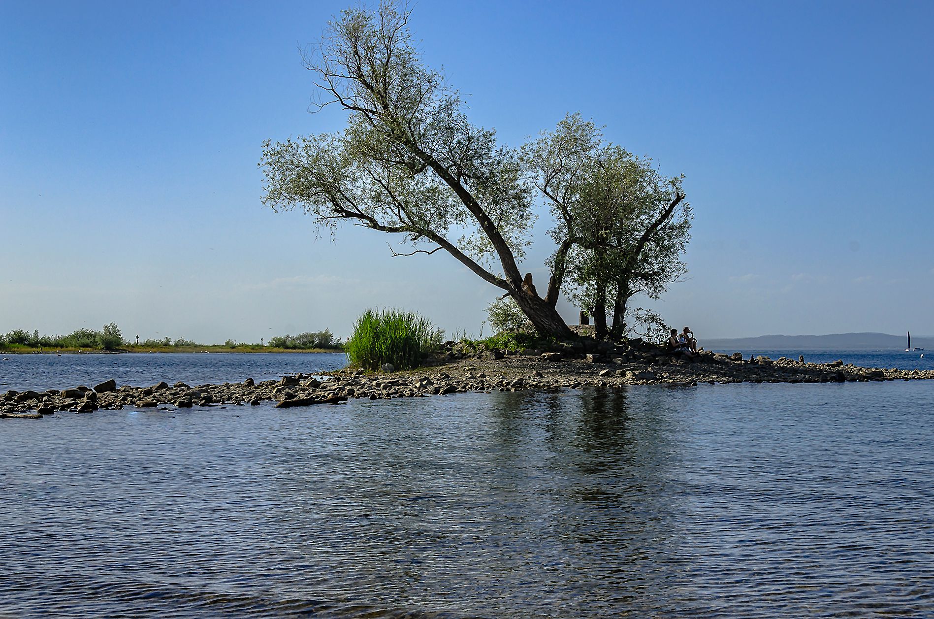 bodenseelandschaft
