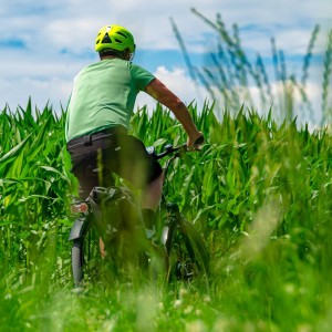 Grüne Felder, weiter Horizont, der Duft von Sommer liegt in der Luft