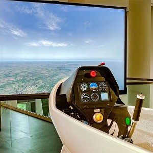 Flugsimulator