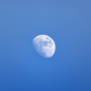 Mond