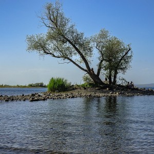 bodenseelandschaft