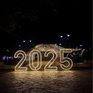 2025